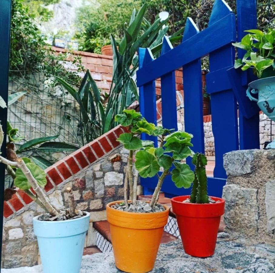 Vfh Villa Flavia Eco B&B - 50 Metri Dal Mare 산타플라비아 외부 사진